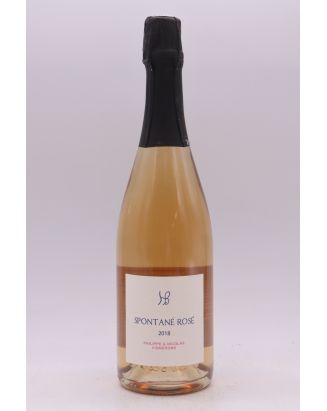 Hauts Baigneux Vin de France Spontané Rosé 2018
